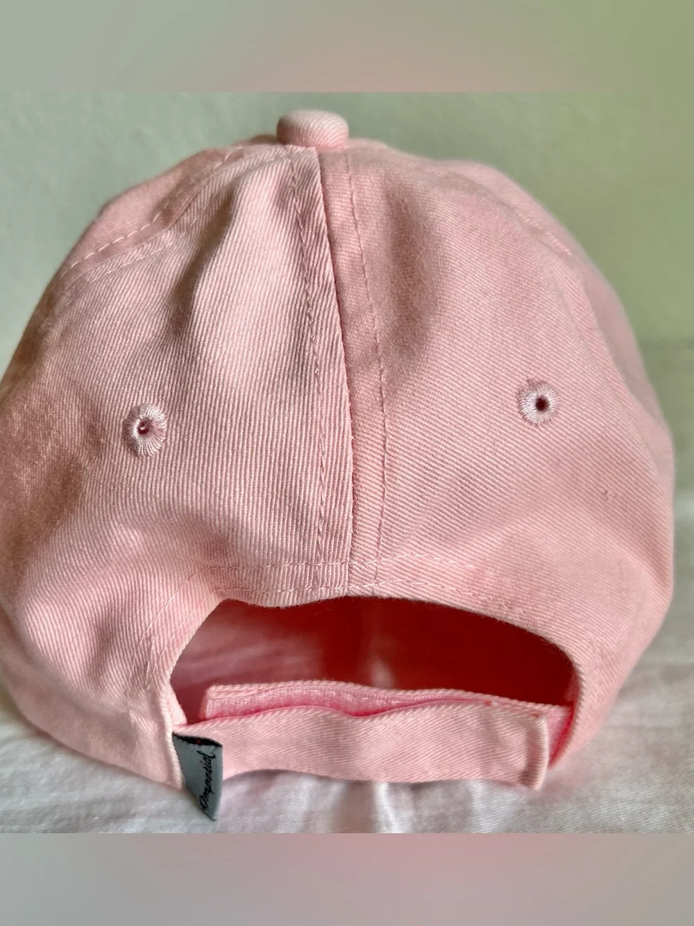 NWT Four Seasons Resort Jackson Hole Pink Hat Cap Adult Lid $20